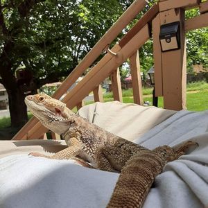 Meet your Posher, Donaven